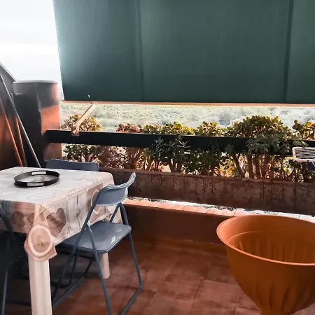 Garden *